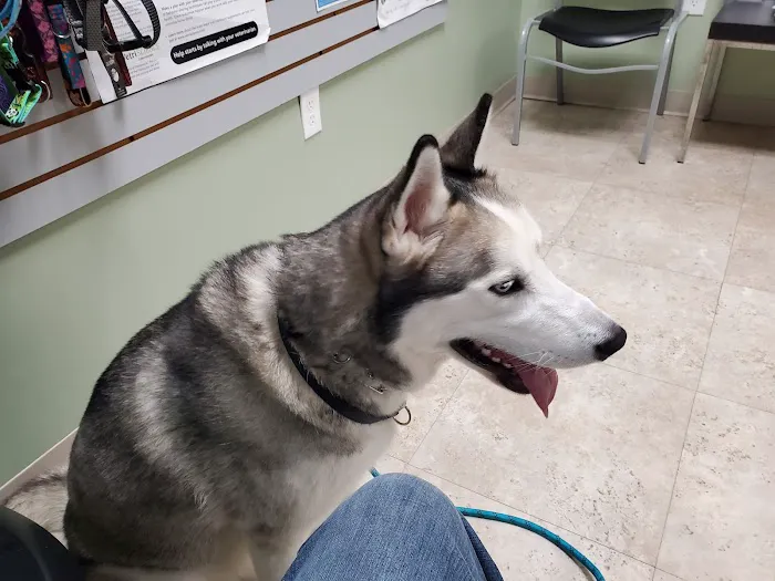 Bay Hills Animal Hospital 9