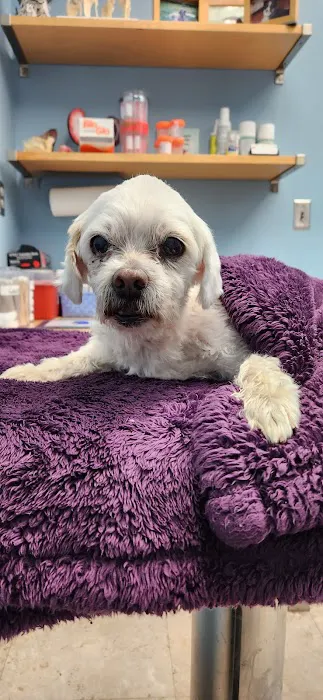 Bay Hills Animal Hospital 8