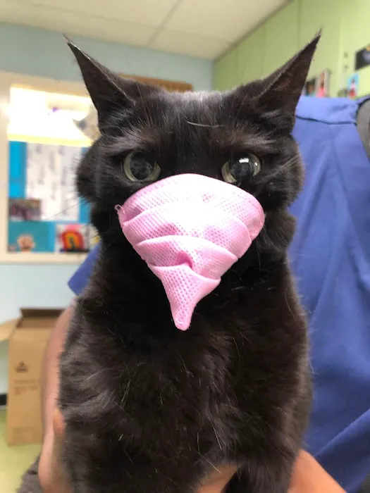 Swan Harbor Animal Hospital 9