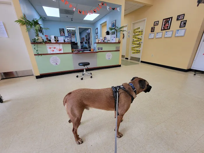 Swan Harbor Animal Hospital 1