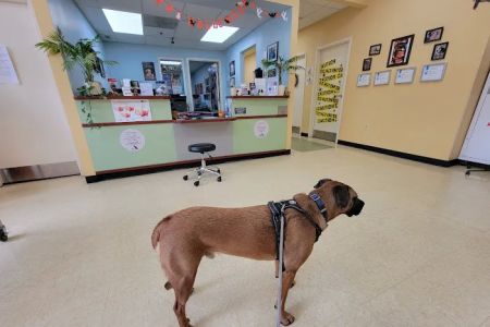 Swan Harbor Animal Hospital