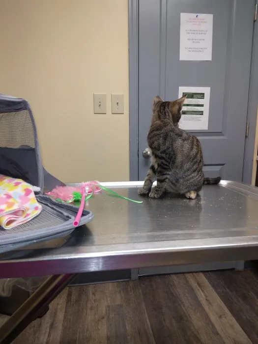 Pickles Light Street Animal Hospital 4