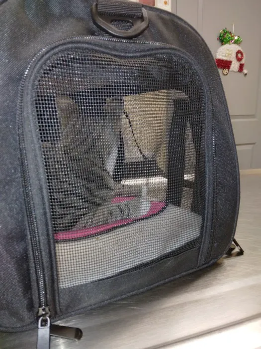 Pickles Light Street Animal Hospital 8