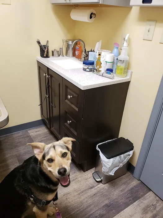 Pickles Light Street Animal Hospital 1