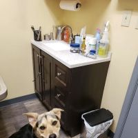 Pickles Light Street Animal Hospital ico