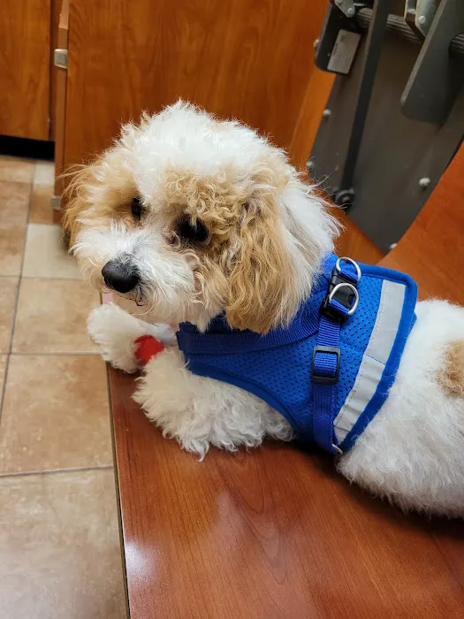 Banfield Pet Hospital 2