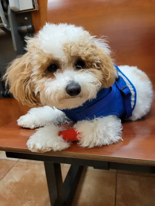 Banfield Pet Hospital 6