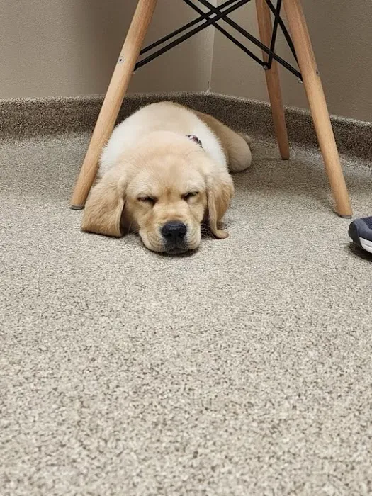 Western Shore Veterinary Hospital 12