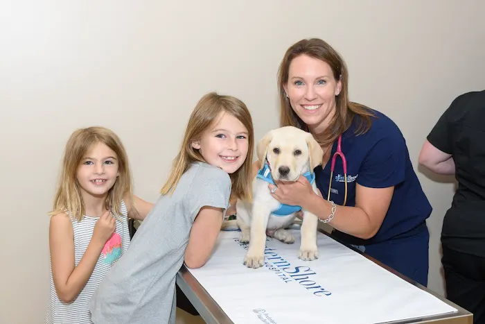 Western Shore Veterinary Hospital 12