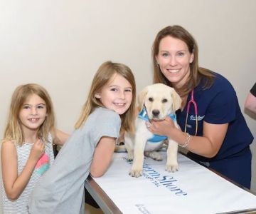 Western Shore Veterinary Hospital