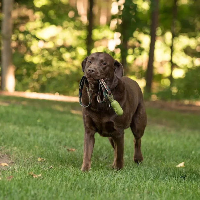 Western Shore Veterinary Hospital 12