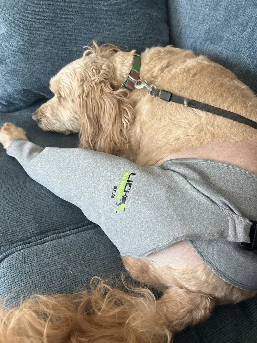 Chesapeake Veterinary Surgical Specialists 10