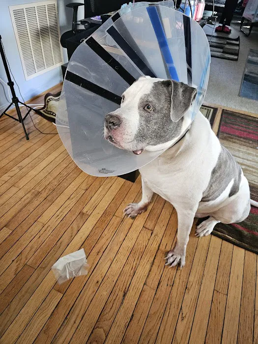 Anne Arundel Veterinary Emergency Clinic 3