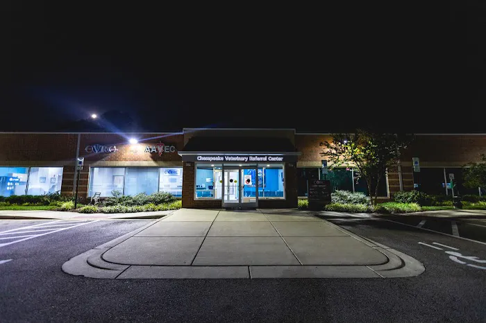 Atlantic Veterinary Internal Medicine & Oncology - Annapolis 6