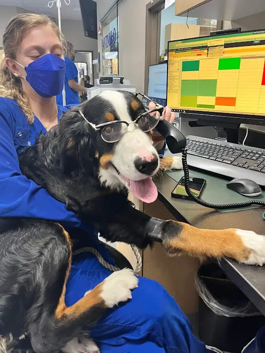Atlantic Veterinary Internal Medicine & Oncology - Annapolis 5