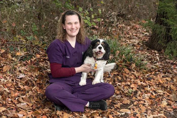 Compass Veterinary Neurology & Imaging 8