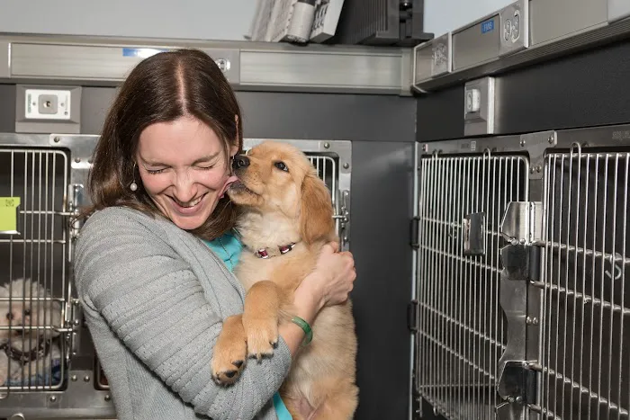 Compass Veterinary Neurology & Imaging 1