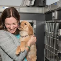 Compass Veterinary Neurology & Imaging ico