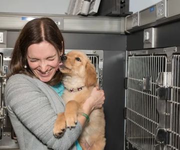 Compass Veterinary Neurology & Imaging