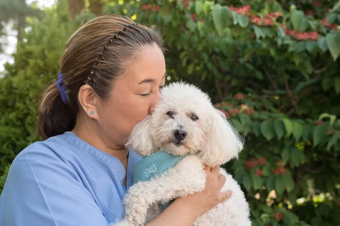 Compass Veterinary Neurology & Imaging 5