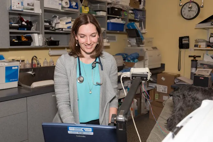 Compass Veterinary Neurology & Imaging 4