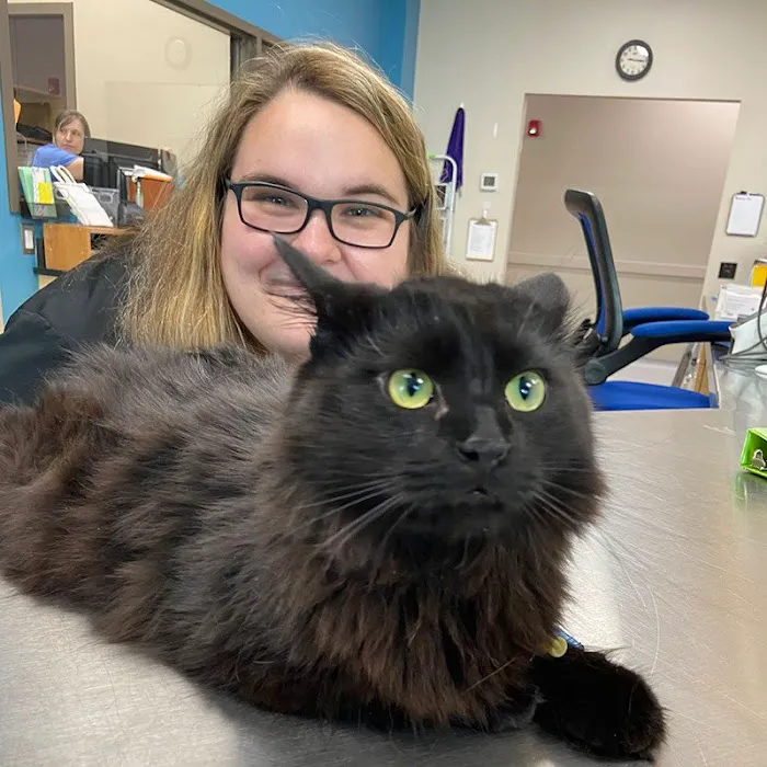 Compass Veterinary Neurology & Imaging 7