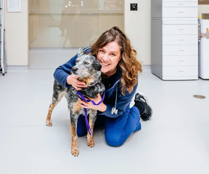 Compass Veterinary Neurology & Imaging 9