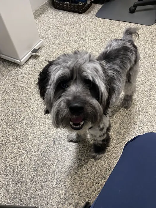 Annapolis Veterinary & Wellness 2