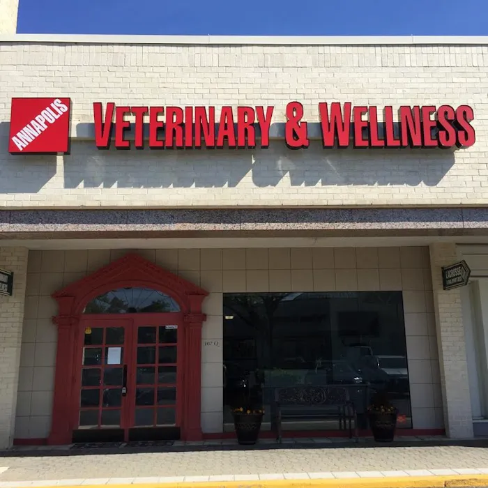 Annapolis Veterinary & Wellness 5