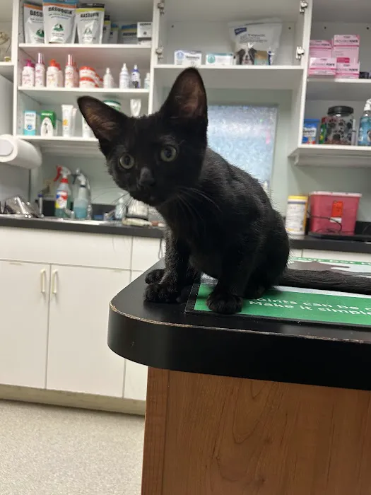 Bay Country Veterinary Hospital - Annapolis 5