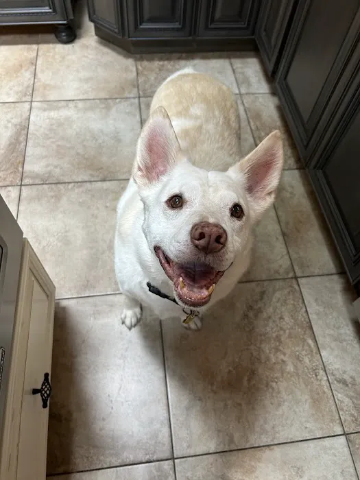 Hoffman Animal Hospital 1