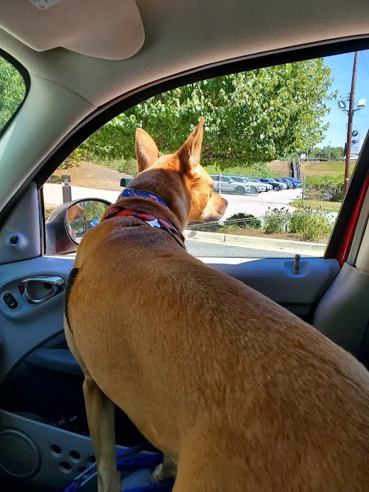 Hoffman Animal Hospital 4