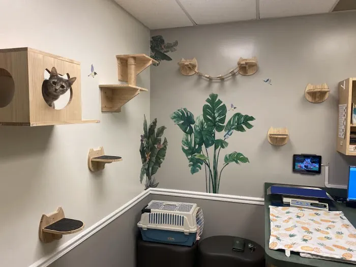 Hoffman Animal Hospital 7