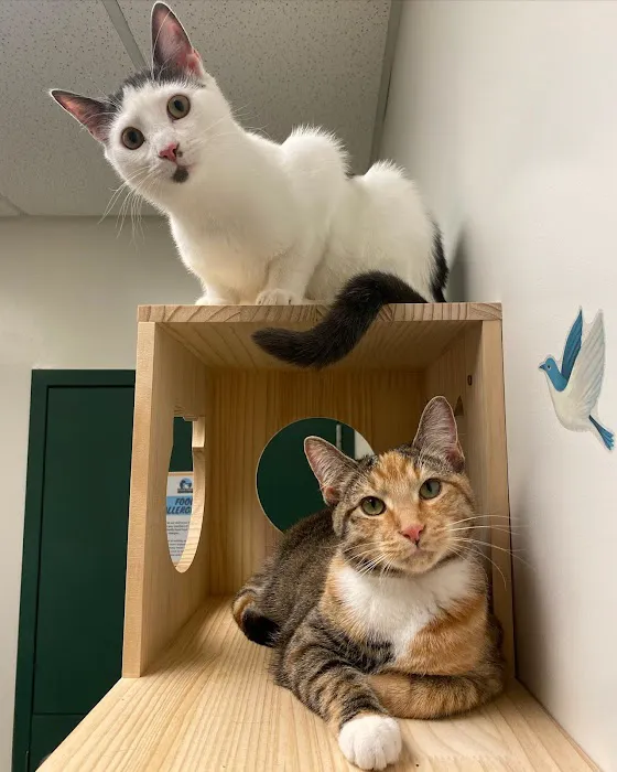 Hoffman Animal Hospital 5