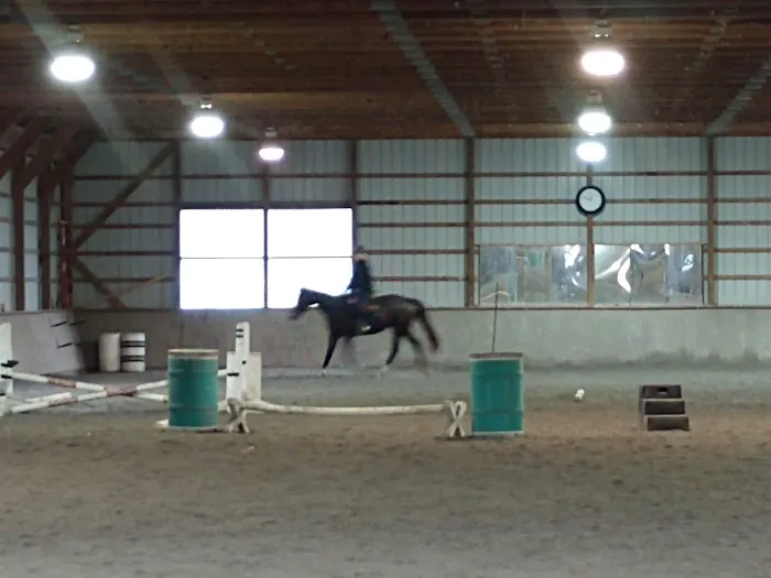 Bay Equine Services 1