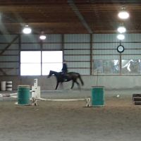 Bay Equine Services ico