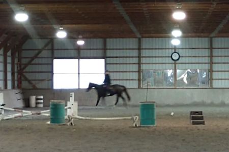 Bay Equine Services