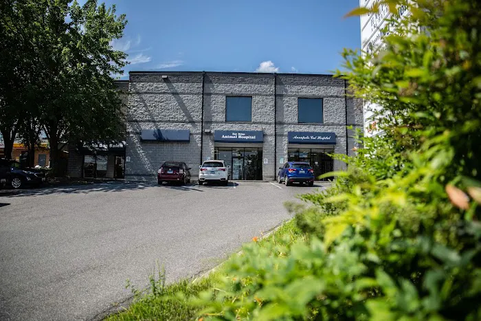 Bay Ridge Animal Hospital 3