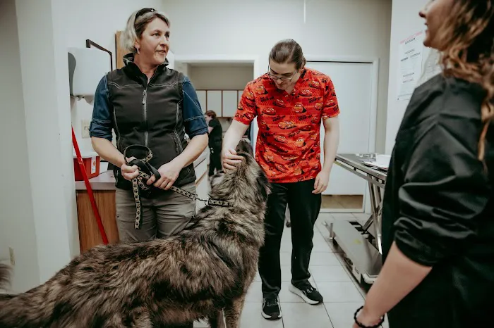 Bay Ridge Animal Hospital 6