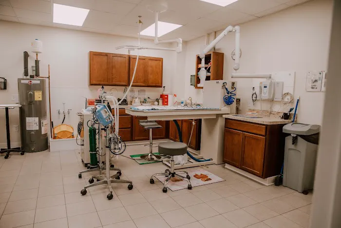 Bay Ridge Animal Hospital 1