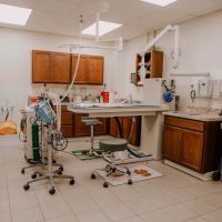Bay Ridge Animal Hospital ico