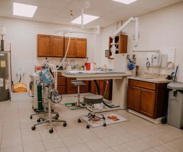 Bay Ridge Animal Hospital