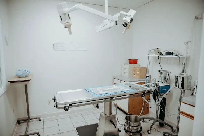 Bay Ridge Animal Hospital 2