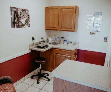 Annapolis Cat Hospital