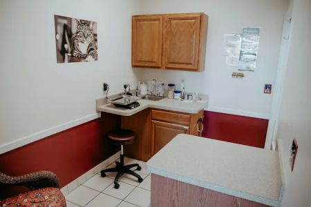 Annapolis Cat Hospital