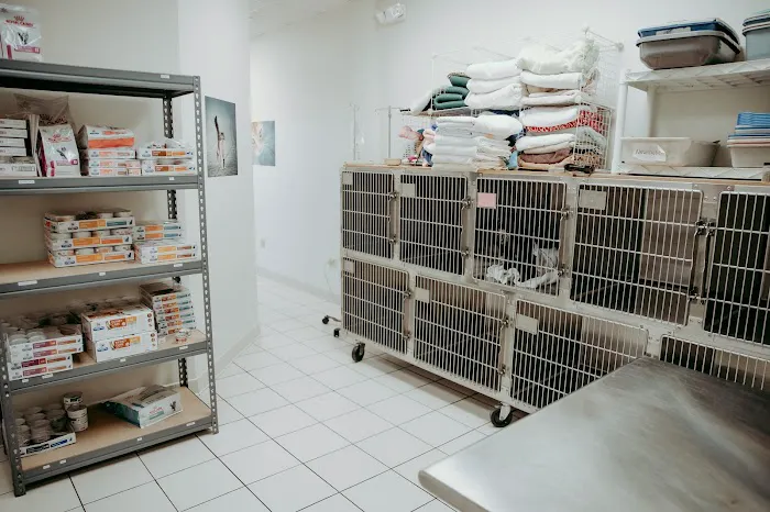 Annapolis Cat Hospital 3
