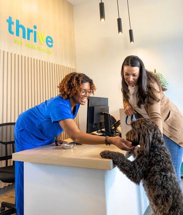 Thrive Pet Healthcare - Alpharetta 12