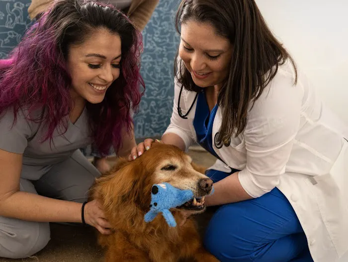 Thrive Pet Healthcare - Alpharetta 12