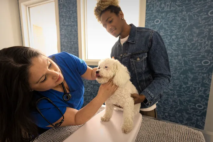 Thrive Pet Healthcare - Alpharetta 12