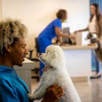 Thrive Pet Healthcare - Alpharetta ico